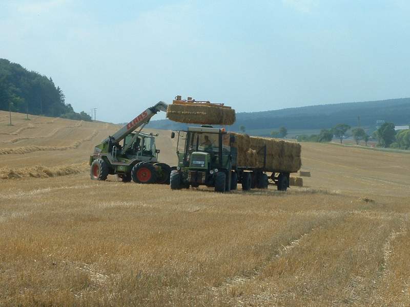 bilder/30_7_2003/ranger_zt_323_6.jpg