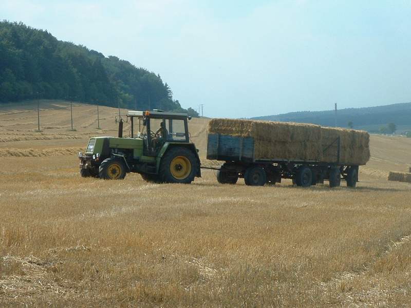bilder/30_7_2003/zt_323.jpg