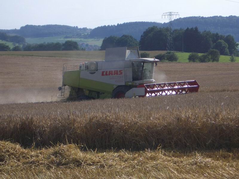lexion.jpg