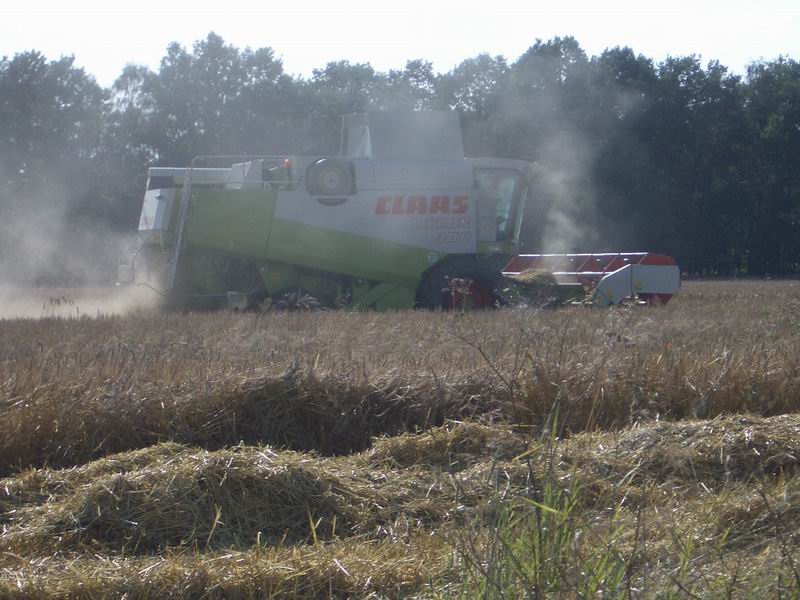 bilder/30_7_2004/lexion_2.jpg