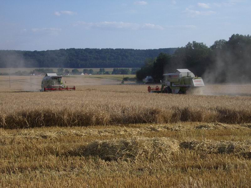 bilder/30_7_2004/lexion_2x_mega.jpg