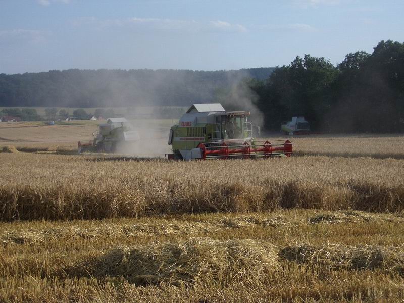 bilder/30_7_2004/lexion_2x_mega_2.jpg