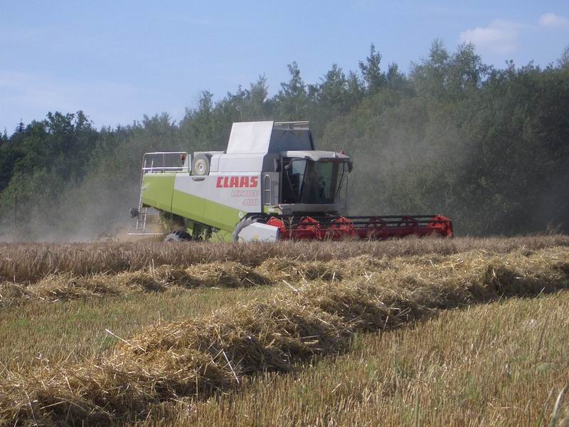 bilder/30_7_2004/lexion_3.jpg
