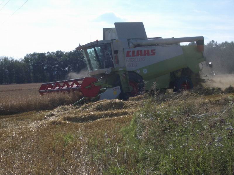 lexion_4.jpg
