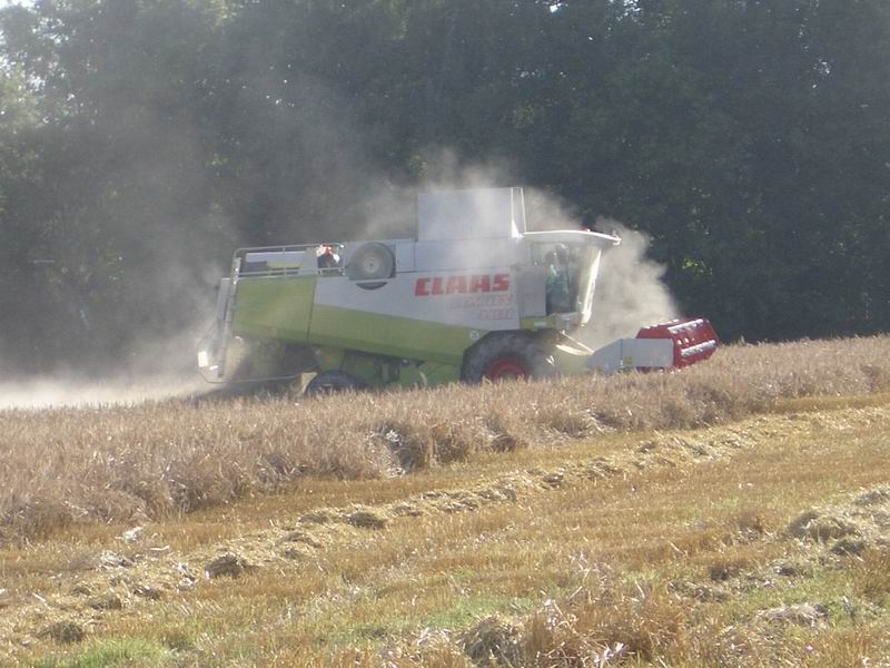 bilder/20_6_2013/haecksler046_n.jpg