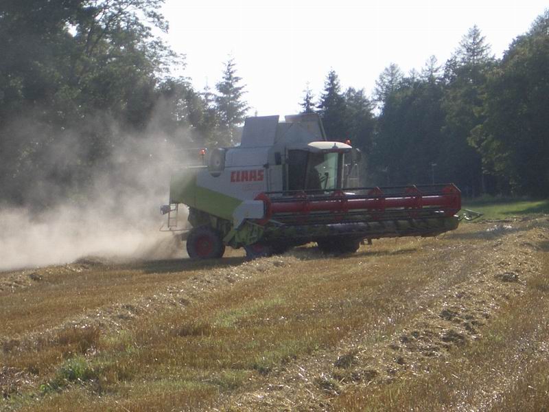 lexion_8.jpg