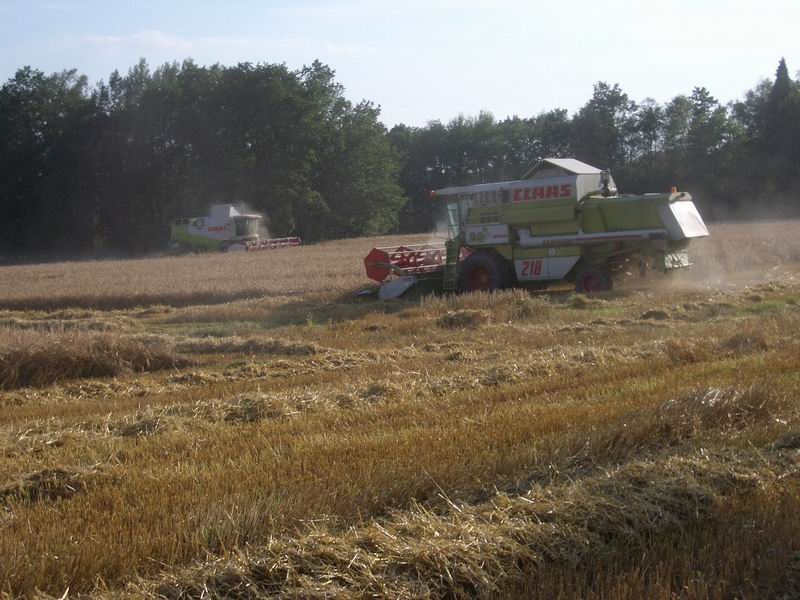 lexion_mega.jpg