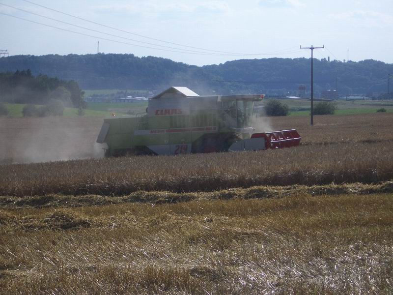 bilder/22_5_2015_4/DSC01442.jpg