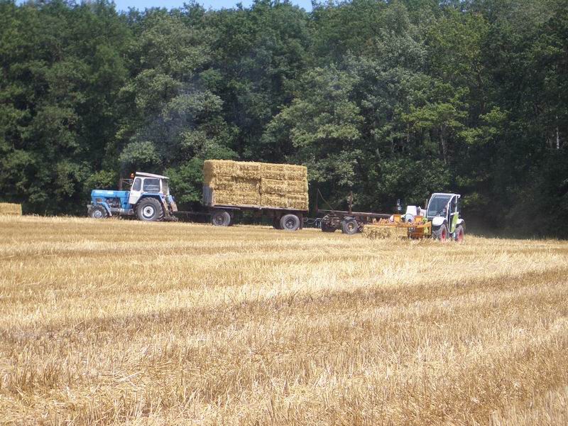 targo_zt_303_2.jpg