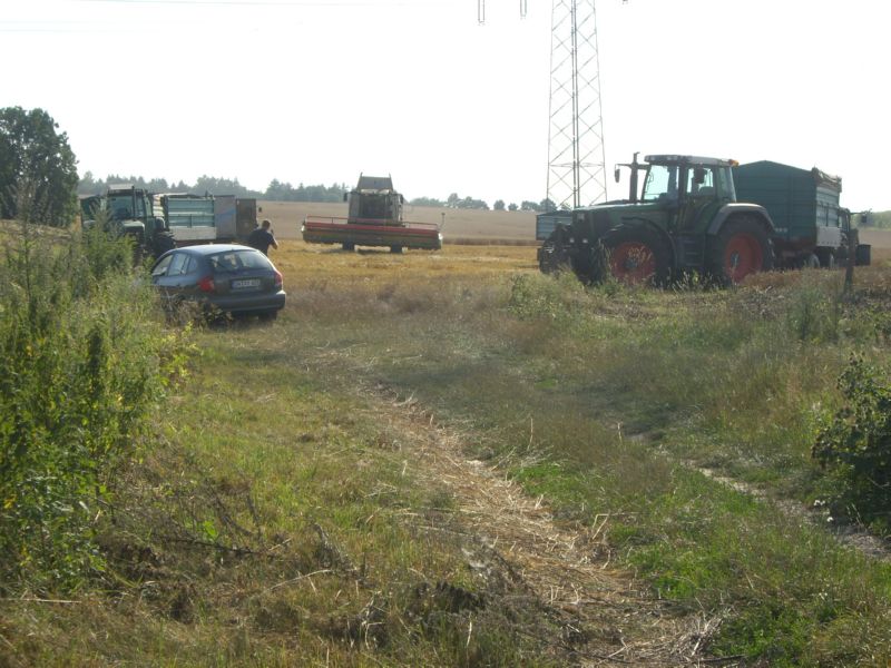 bilder/22_8_2003/jaguar_fendt_zt_303.jpg