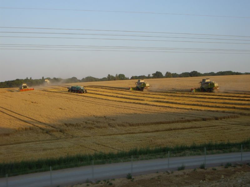 IMGP1024.jpg