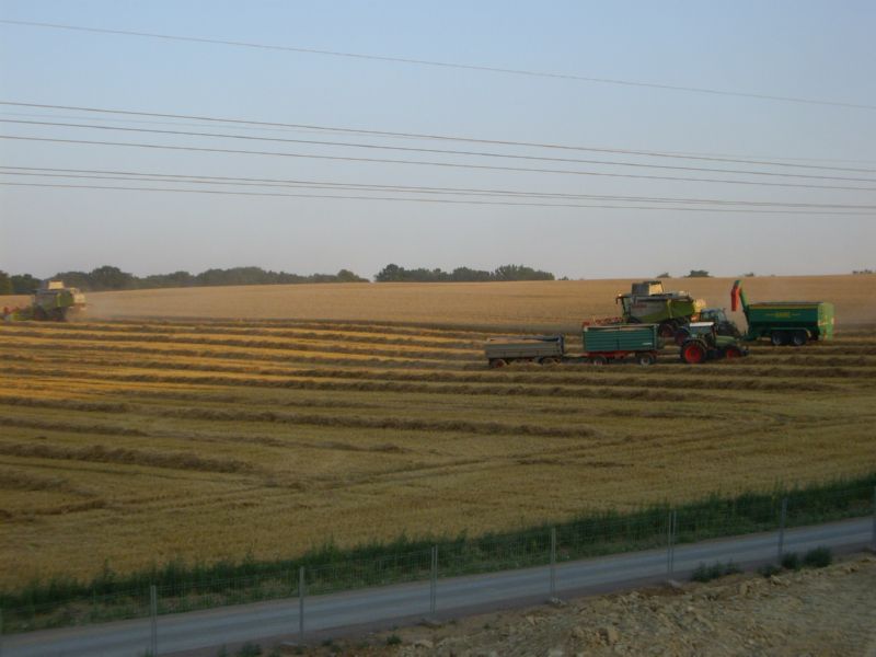 bilder/Philip/10_10_2006_2/IMG_3060.jpg