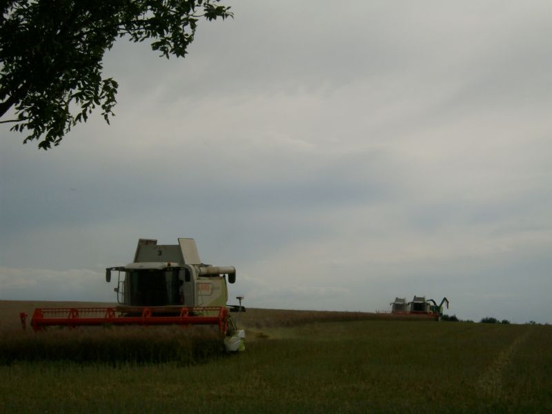 bilder/30_7_2009/IMGP7223.jpg