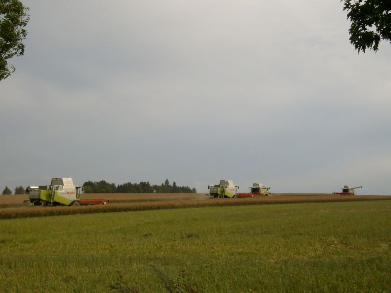 bilder/26_7_2015/DSC01861.jpg