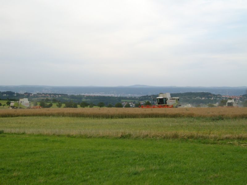 bilder/23_5_2015/DSC01511.jpg