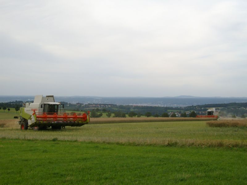 bilder/30_7_2009/IMGP7244.jpg