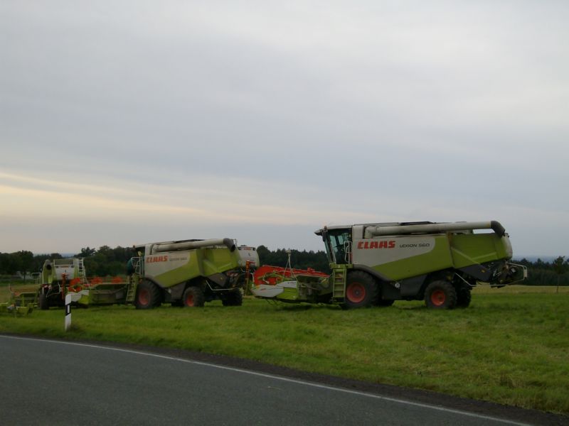 IMGP7260.jpg