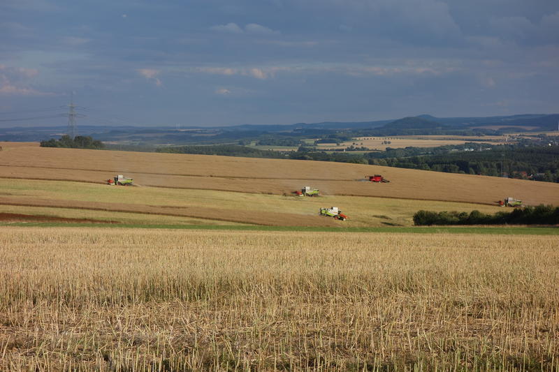bilder/16_8_2019/DSC08264.jpg