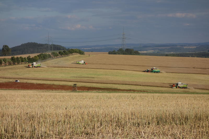 bilder/30_7_2015/DSC01940.jpg
