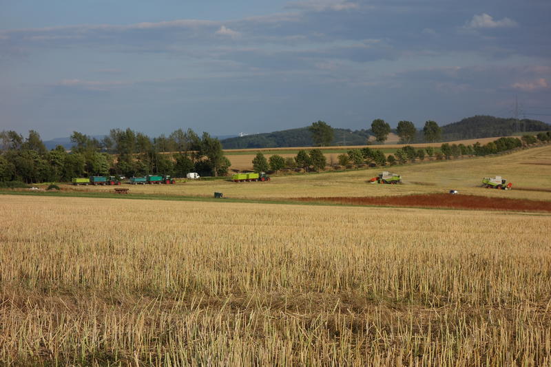 bilder/4_6_2014/CIMG3138.jpg