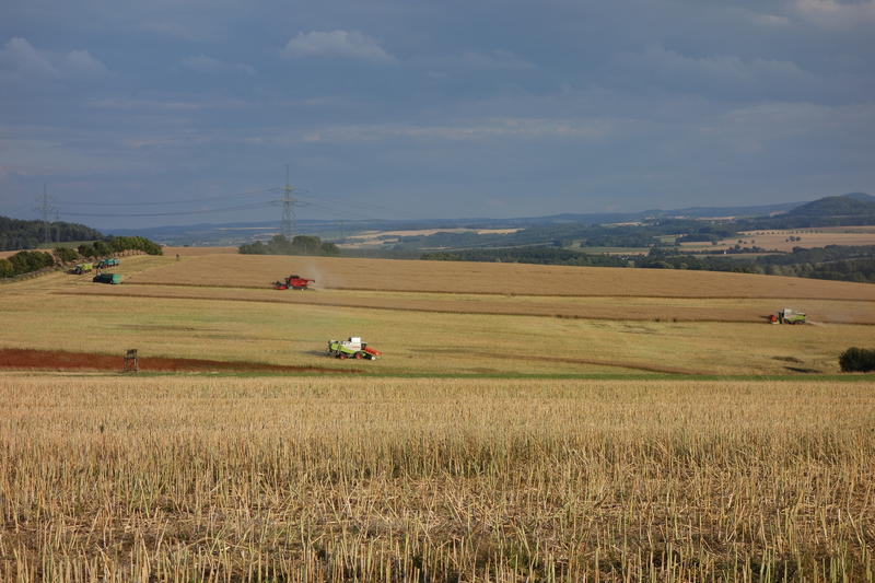 bilder/2_5_2003/fendt_716.jpg