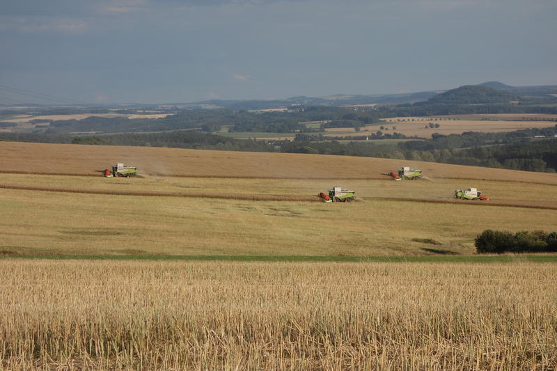 bilder/21_9_2017/DSC00415.jpg