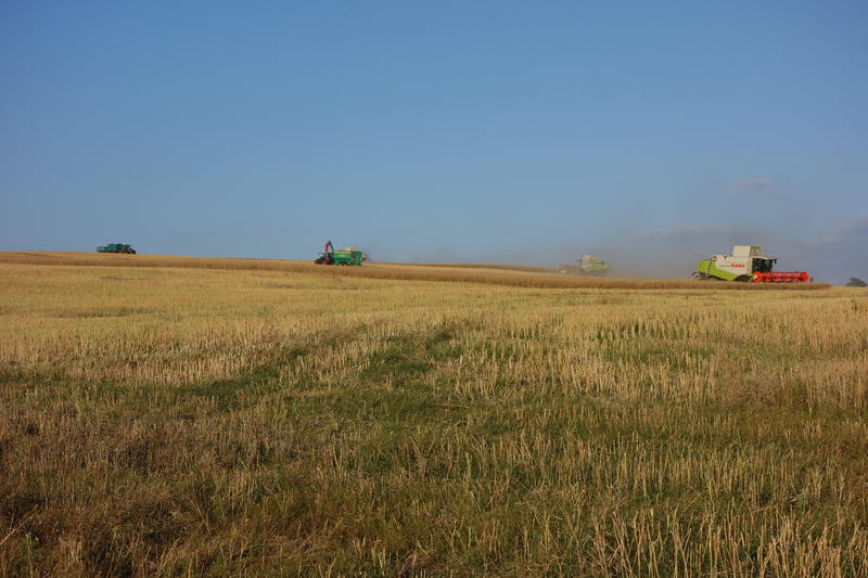 bilder/30_7_2015/DSC01953.jpg