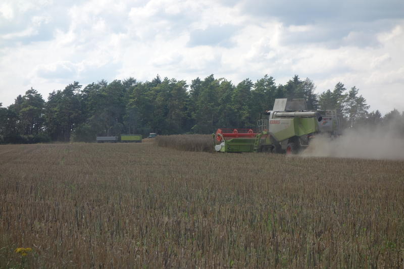 bilder/5_5_2013/CIMG7243.jpg