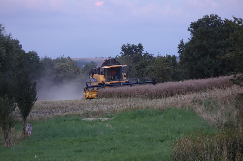 bilder/31_3_2005/fendt_818_34.jpg