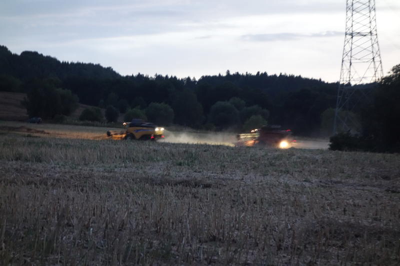 bilder/3_6_2014_3/CIMG2894.jpg