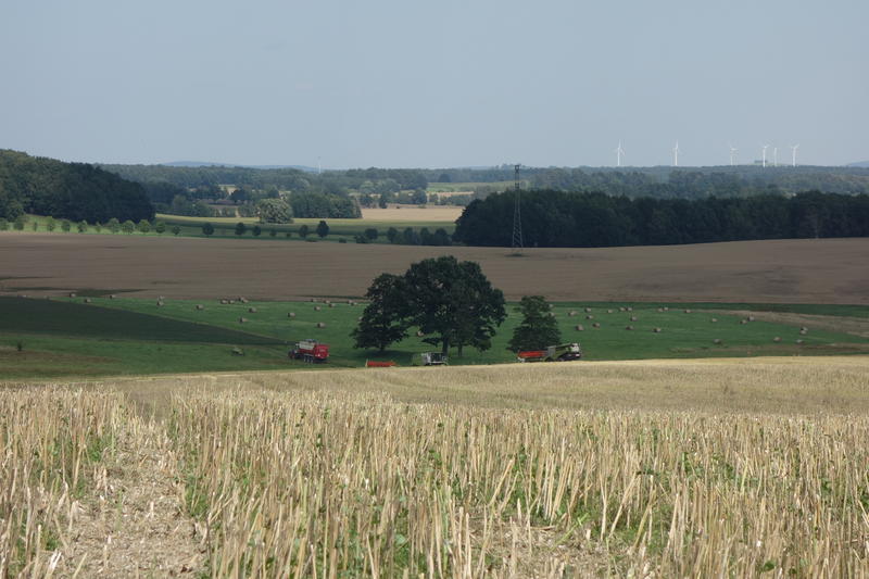 DSC09037.jpg