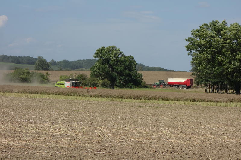 DSC09065.jpg