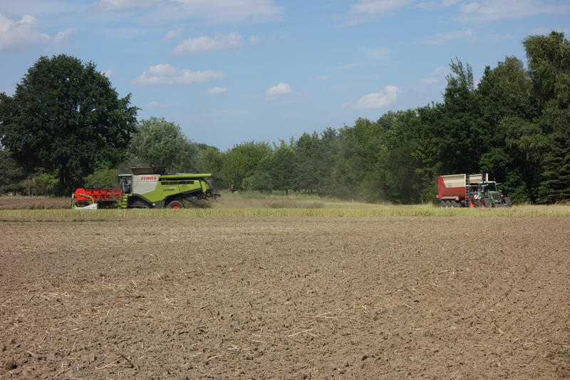 DSC09073.jpg