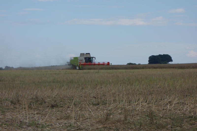 bilder/27_8_2002/fendt_824.jpg
