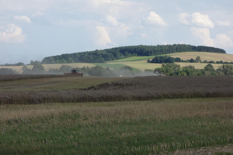 DSC09154.jpg