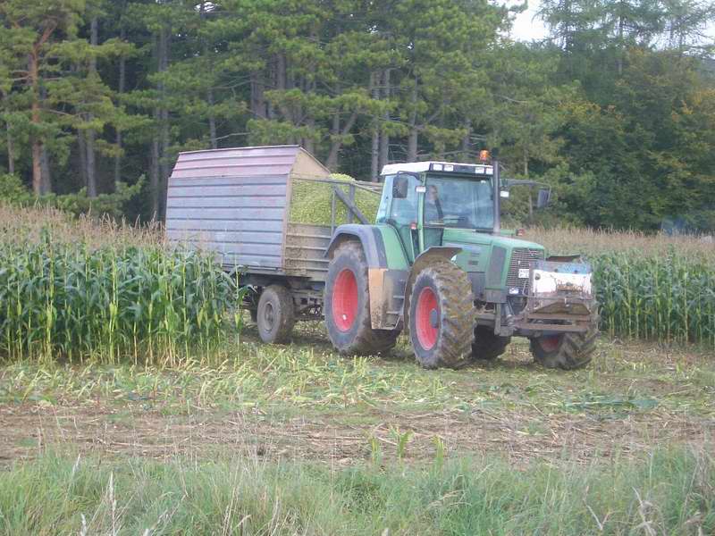 fendt.jpg
