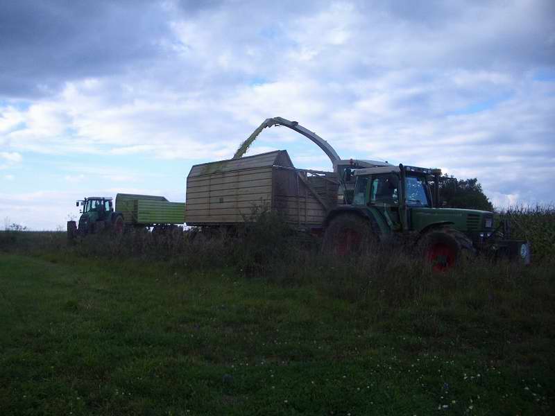 jaguar_2x_fendt_4.jpg