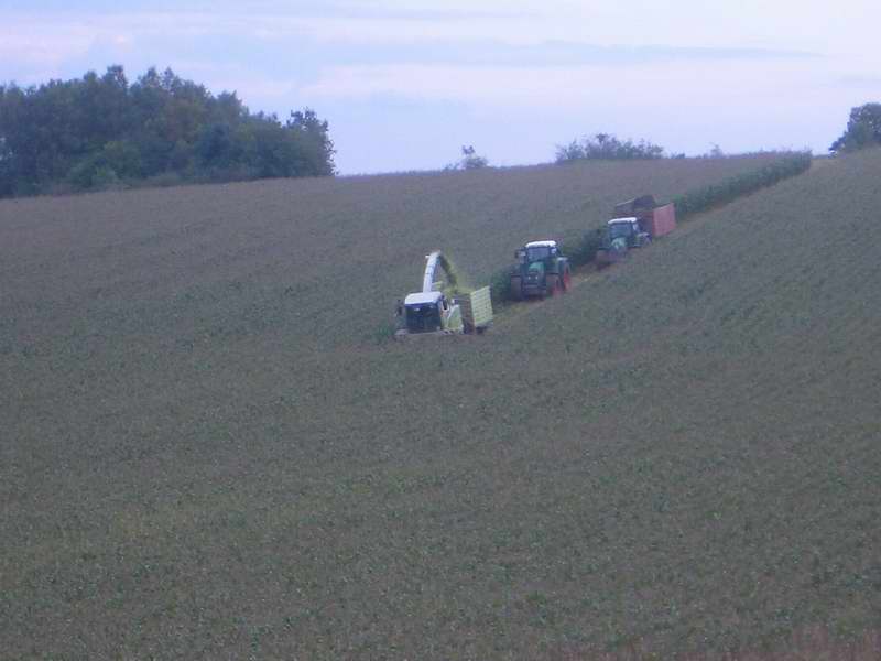 bilder/30_9_2005/jaguar_2x_fendt_7.jpg