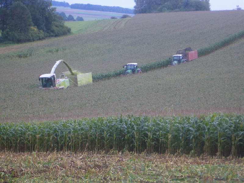 jaguar_2x_fendt_8.jpg