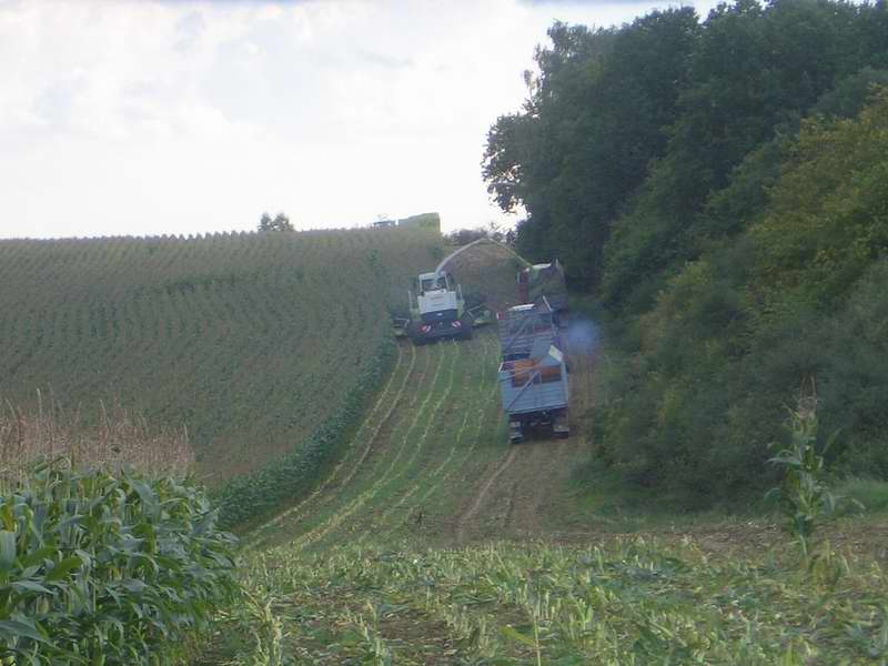 bilder/30_9_2005/jaguar_3x_fendt_w50.jpg