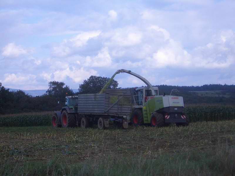 jaguar_fendt_10.jpg