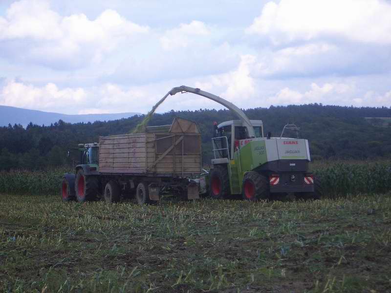 jaguar_fendt_12.jpg