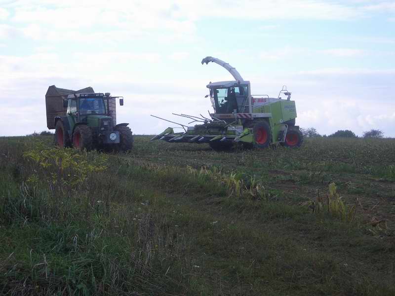 jaguar_fendt_16.jpg