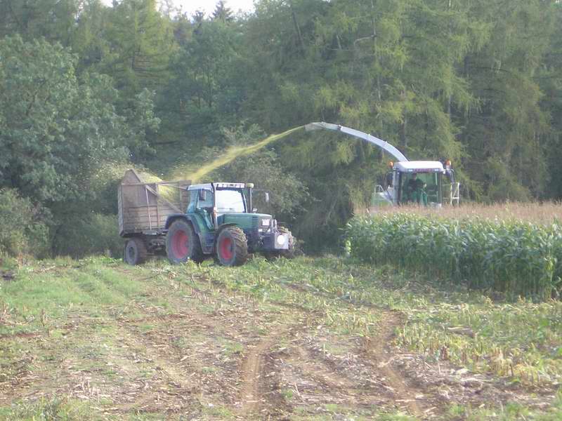 jaguar_fendt_18.jpg