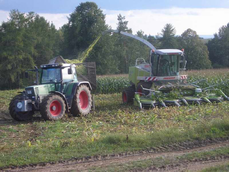 jaguar_fendt_19.jpg