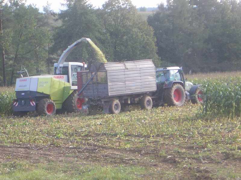 bilder/30_9_2005/jaguar_fendt_21.jpg