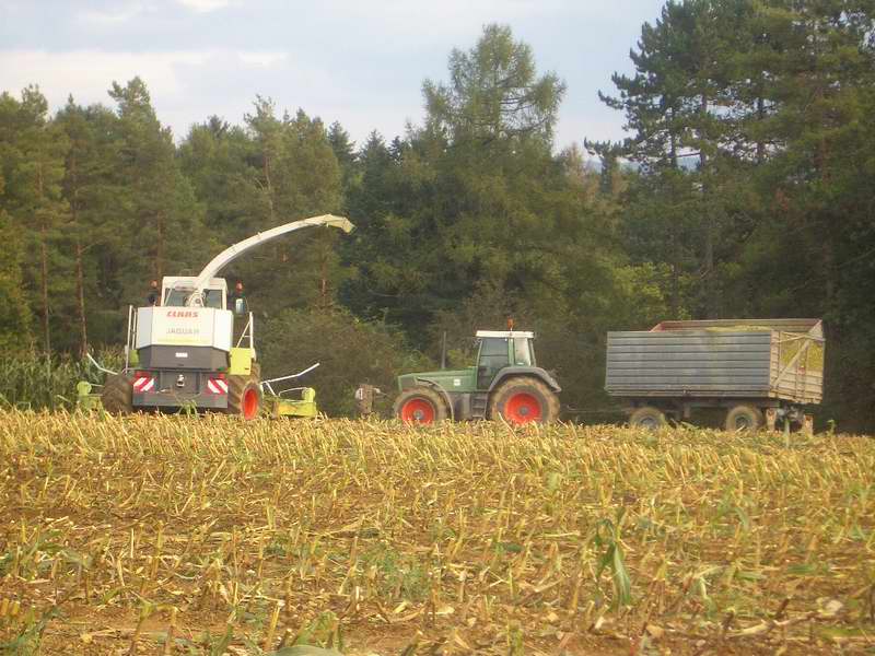 jaguar_fendt_23.jpg
