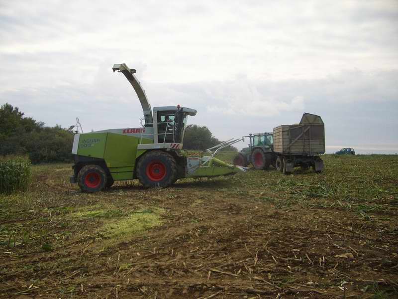 jaguar_fendt_24.jpg