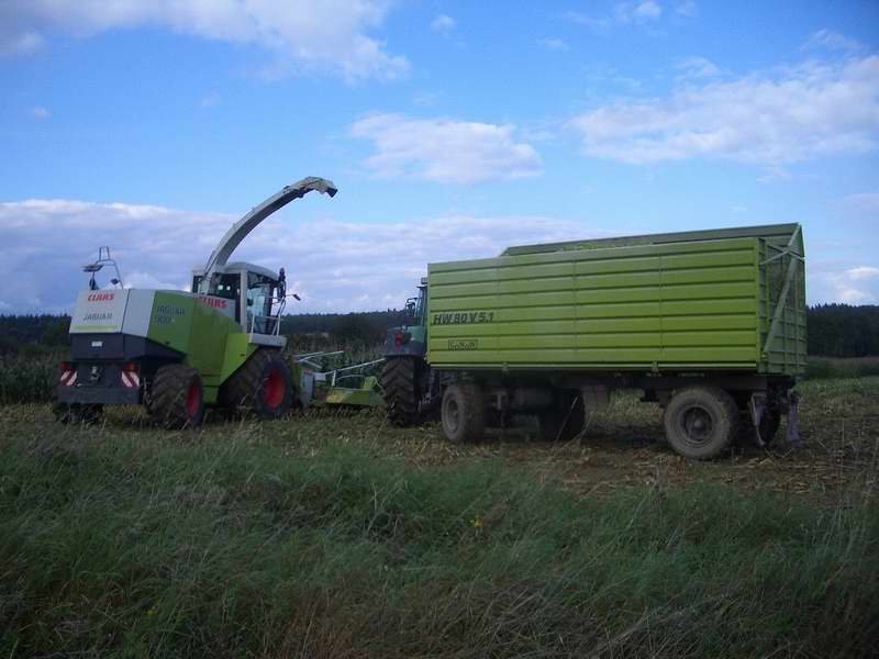 jaguar_fendt_3.jpg