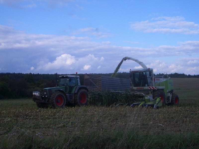 jaguar_fendt_7.jpg